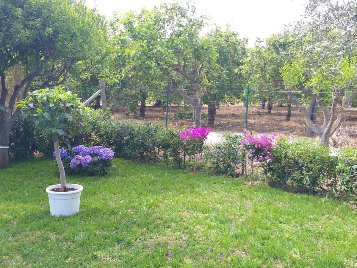 Federica – Maison 4 pers. piscine privée à Ispica - Photo 28