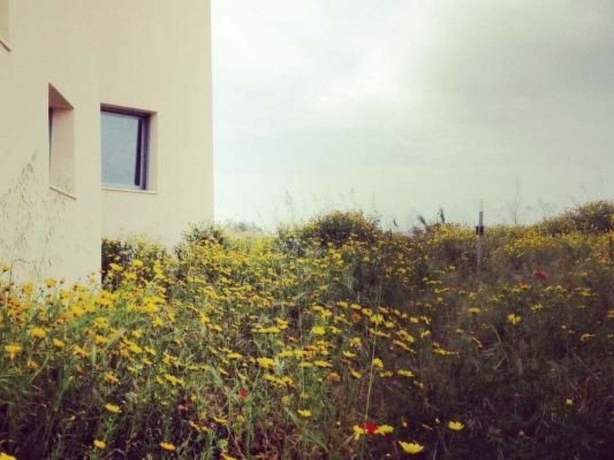 Villa Vendicari Junior, 1 chambre à 1 km de la plage - Photo 22