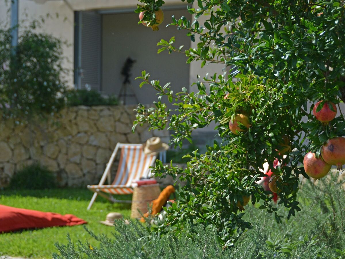 Villa Vendicari – 8 pers., piscine et cabane dans les arbres - Photo 9