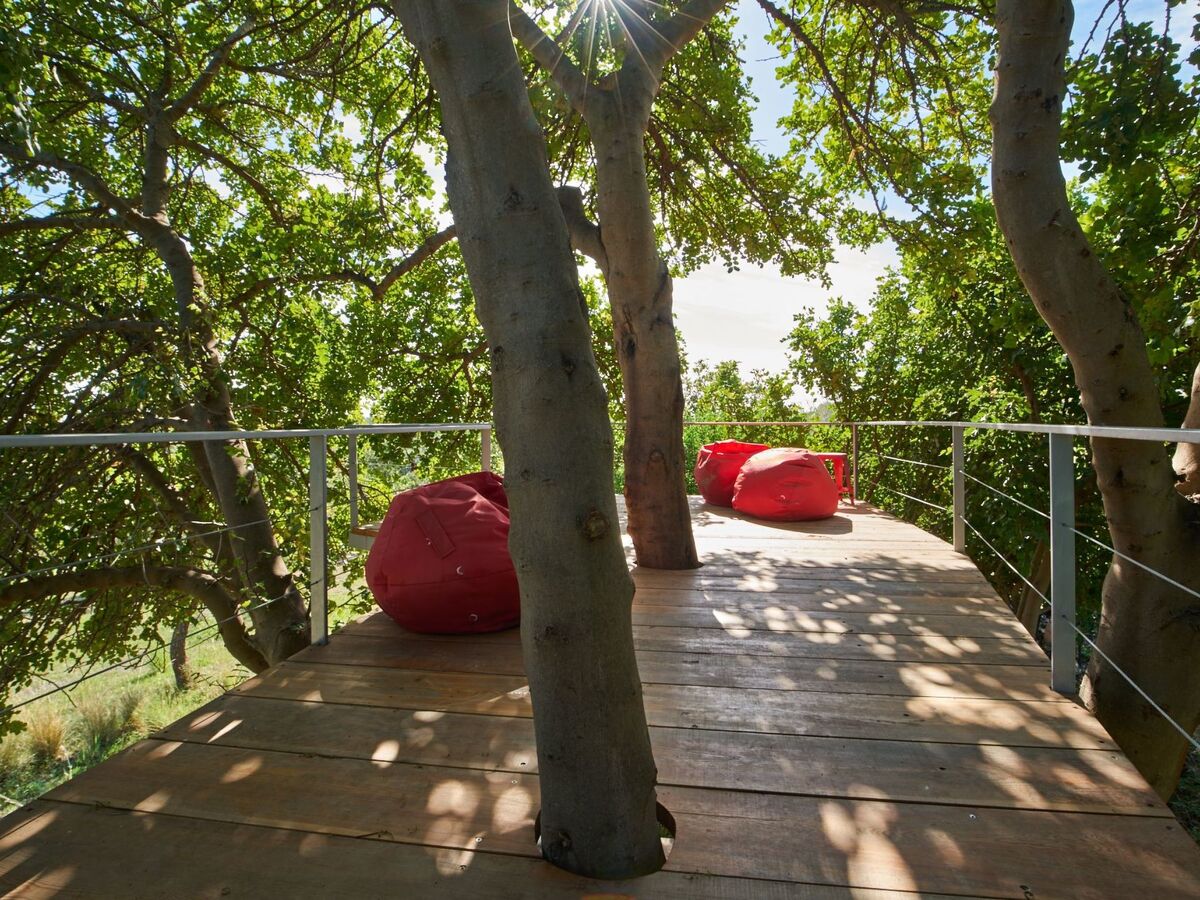 Villa Vendicari – 8 pers., piscine et cabane dans les arbres - Photo 18