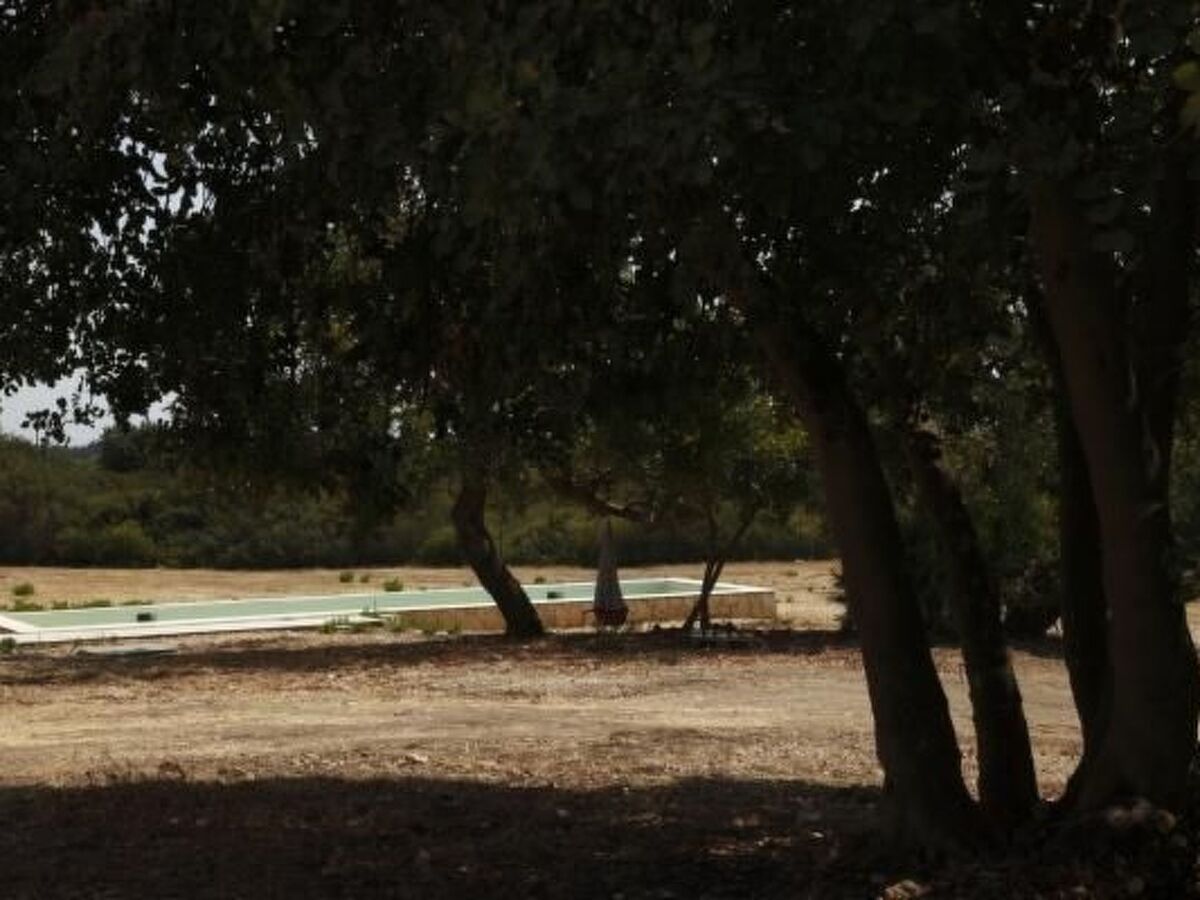 Villa Vendicari – 8 pers., piscine et cabane dans les arbres - Photo 47