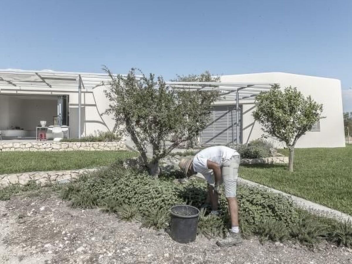 Villa Vendicari – 8 pers., piscine et cabane dans les arbres - Photo 58