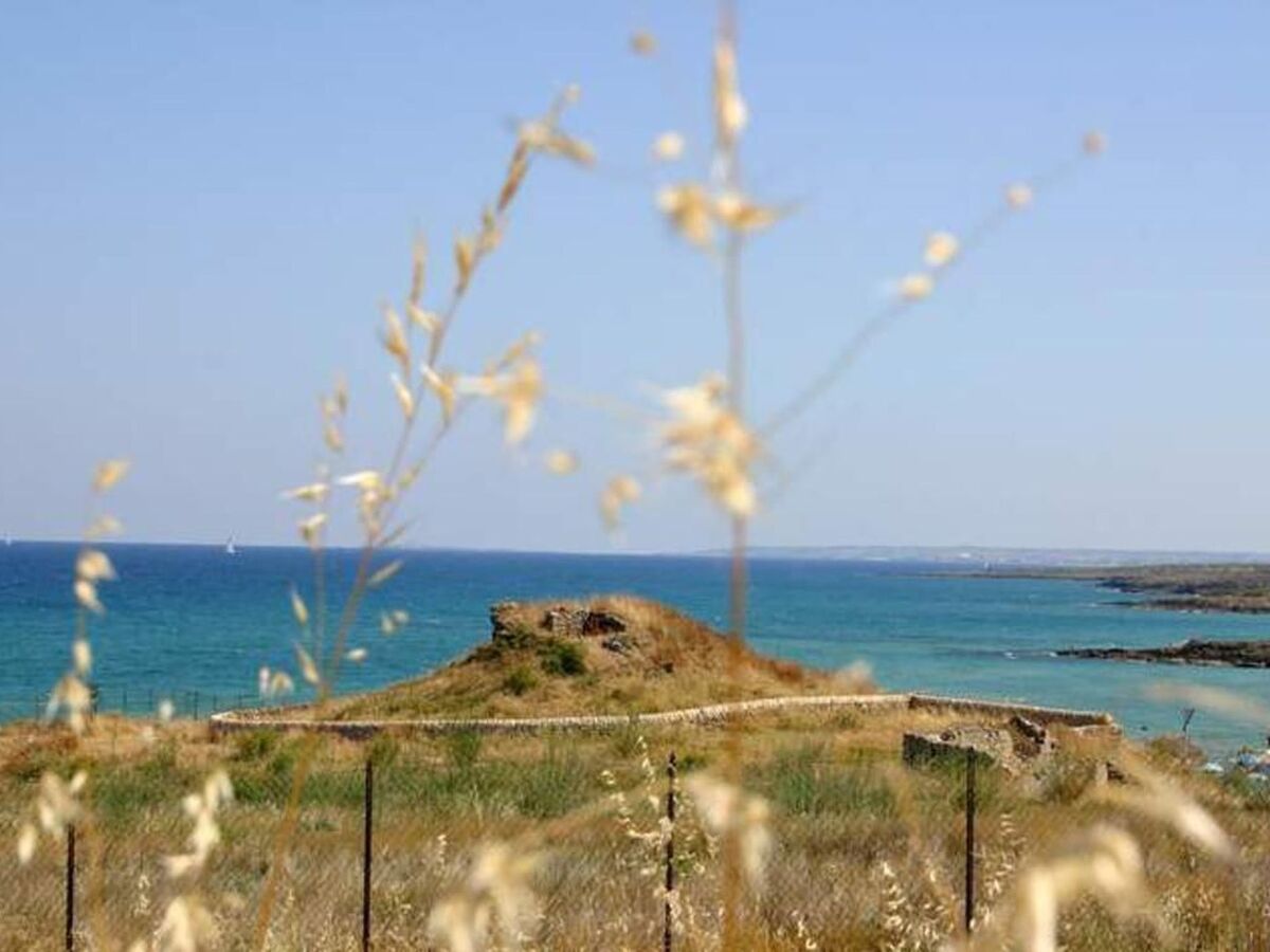 Villa Cavarra 1 à Calabernardo, 300 m de la plage - Photo 32