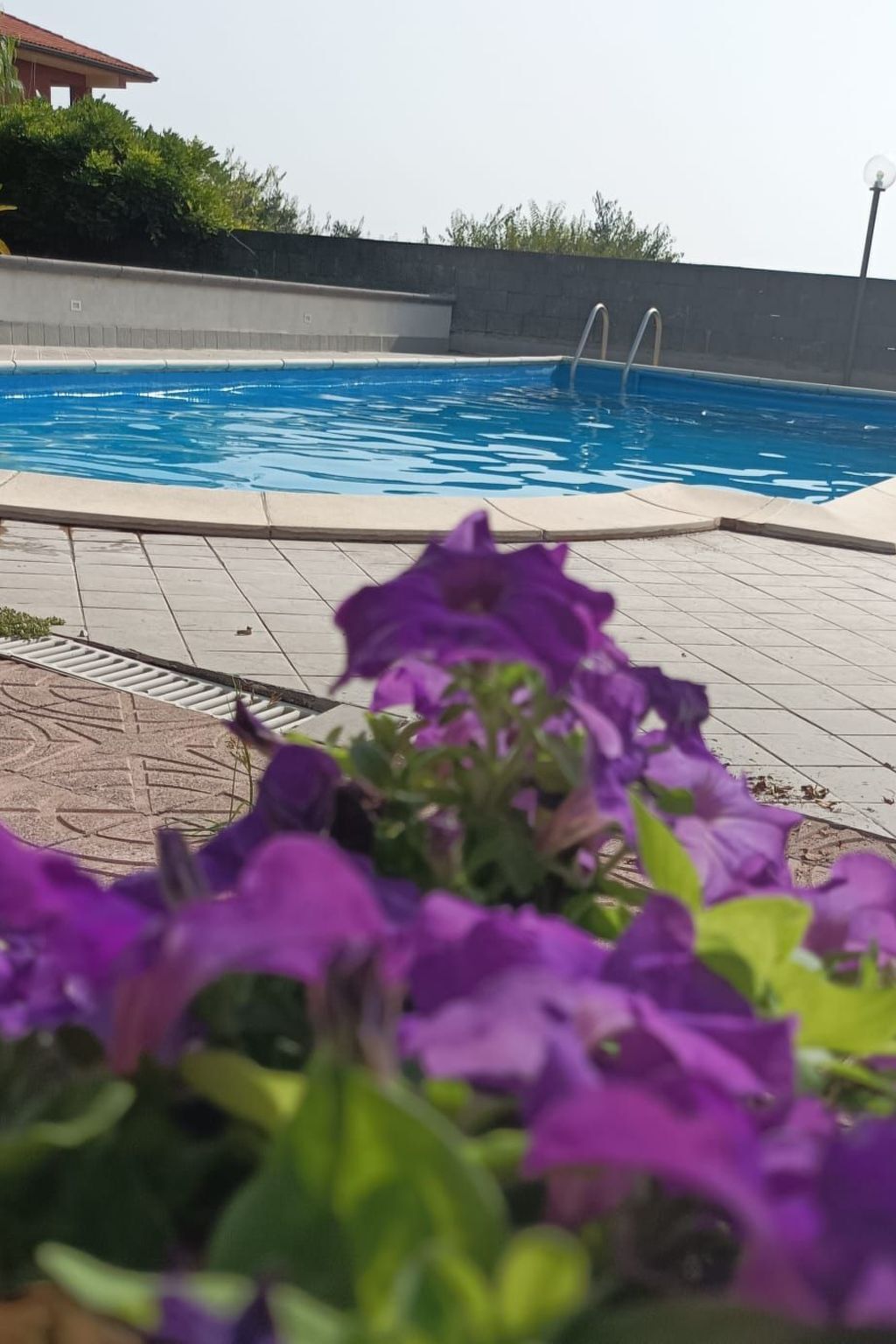 Appartement 4 pers. avec piscine partagée à Acireale - Photo 11