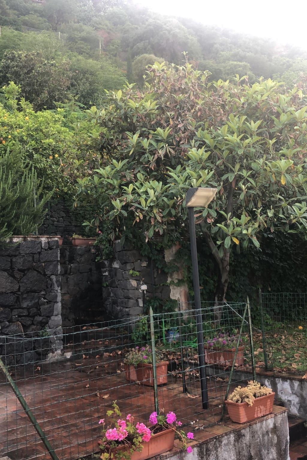 Villa bord de mer Acireale, 5000 m² et accès direct à la plage - Photo 13