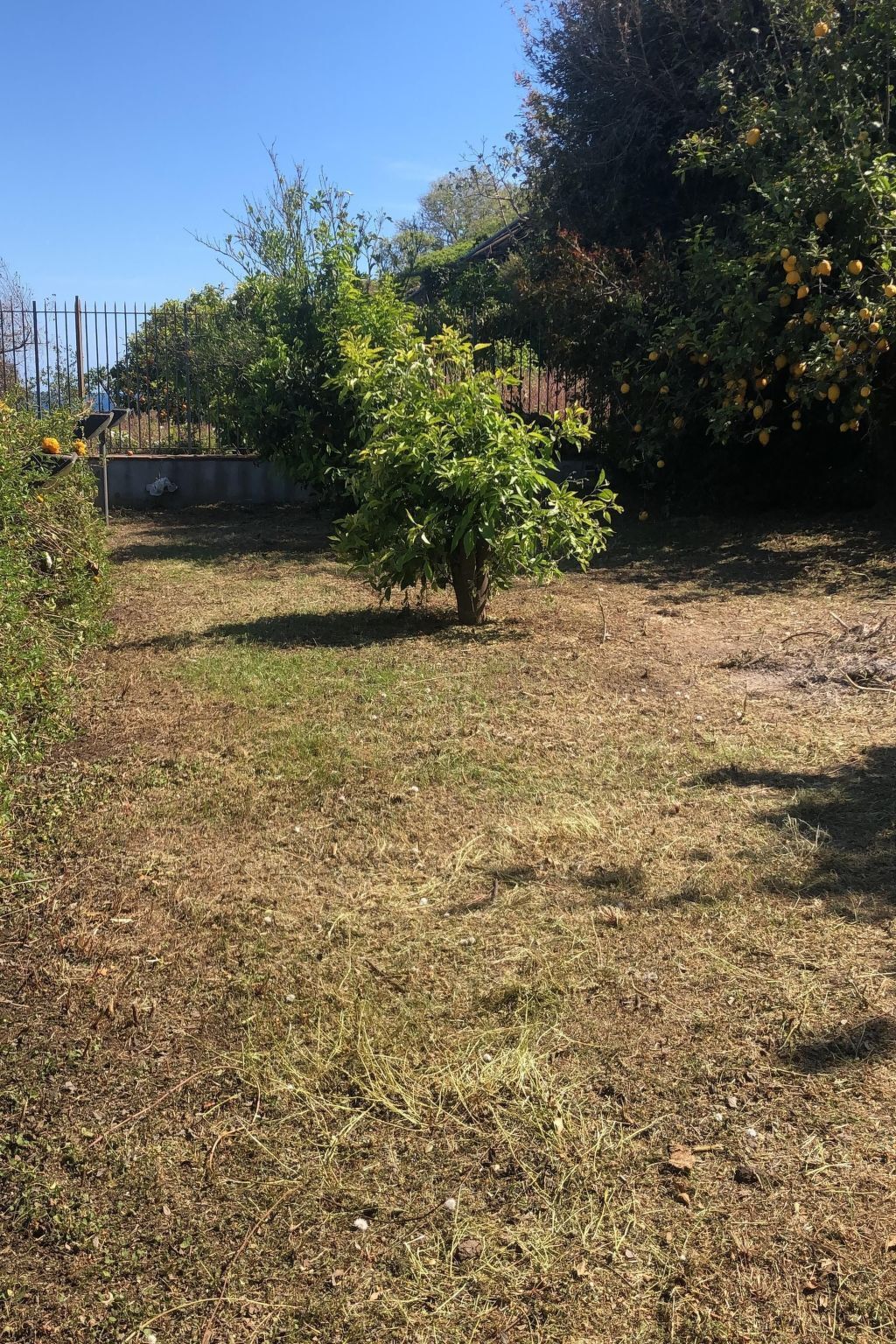 Villa bord de mer Acireale, 5000 m² et accès direct à la plage - Photo 15