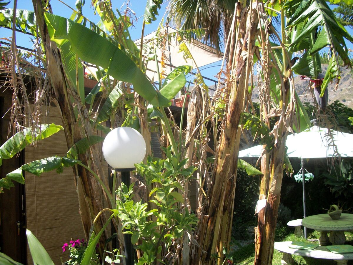 Studio avec jardin vue mer près de Taormina - Photo 16