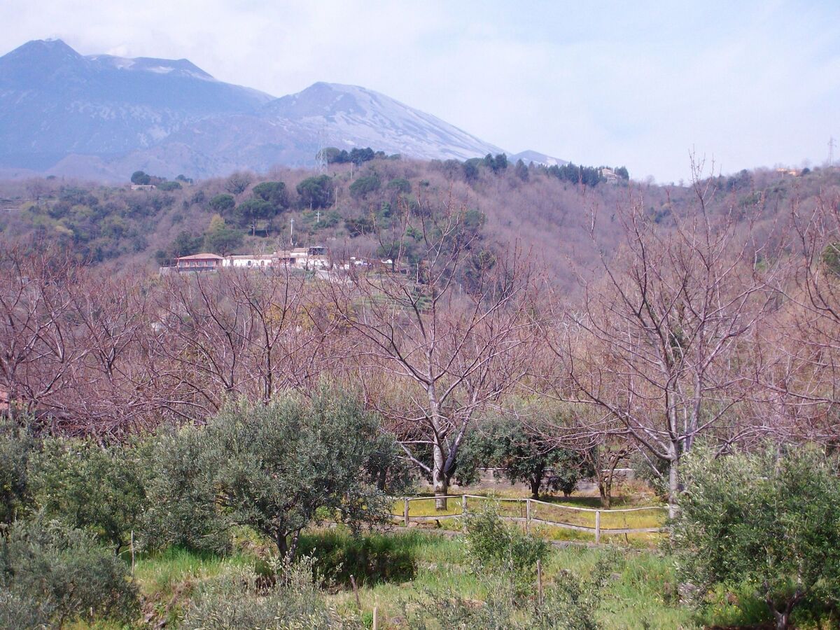 Casa Malù – Maison avec vue mer à Milo - Photo 43