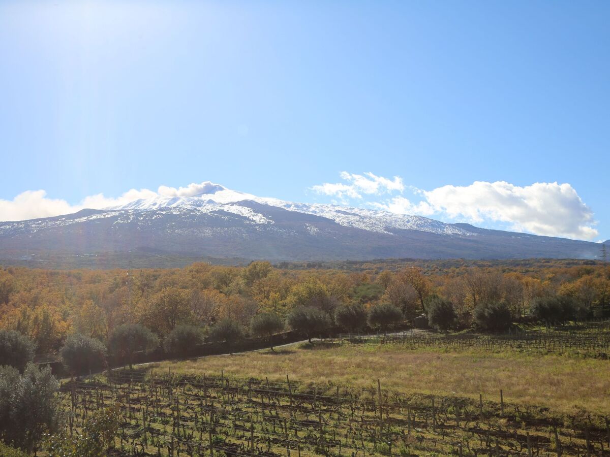 Villa Alloro en plein vignoble de Castiglione - Photo 3