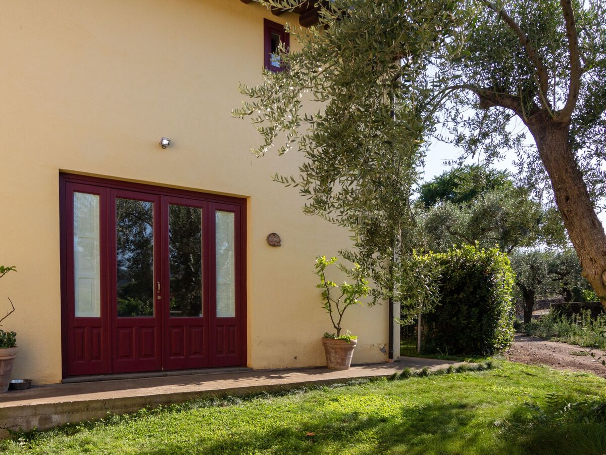 Villa Nocellara, maison entre vignobles et nature - Photo 11