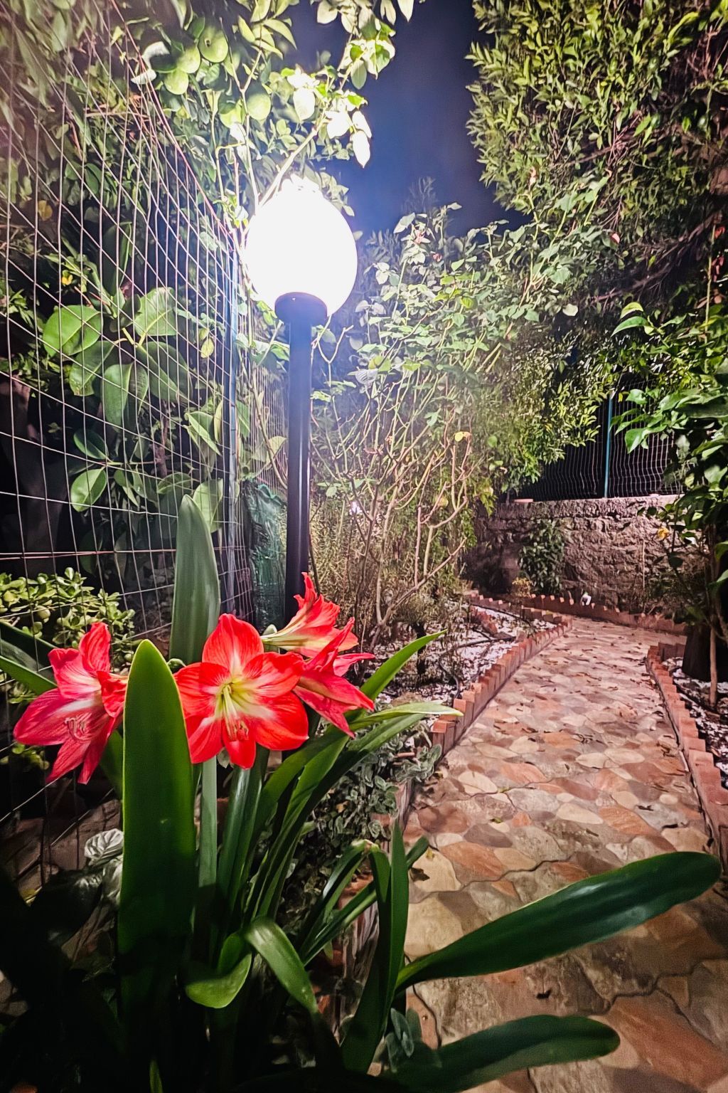 The Garden – Maison à Furnari avec vue mer et montagne - Photo 7