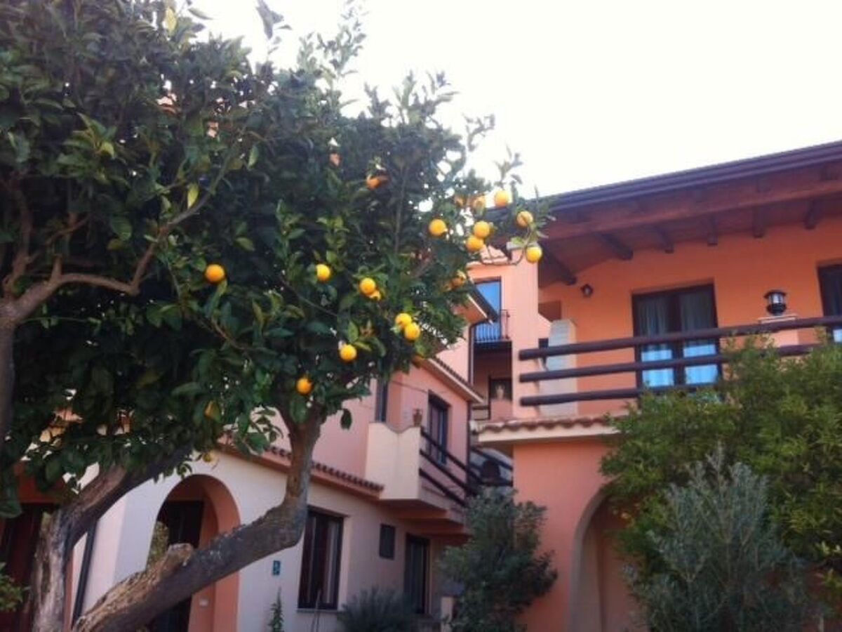 Appartement 4 pers. vue mer à Gioiosa Marea - Photo 13