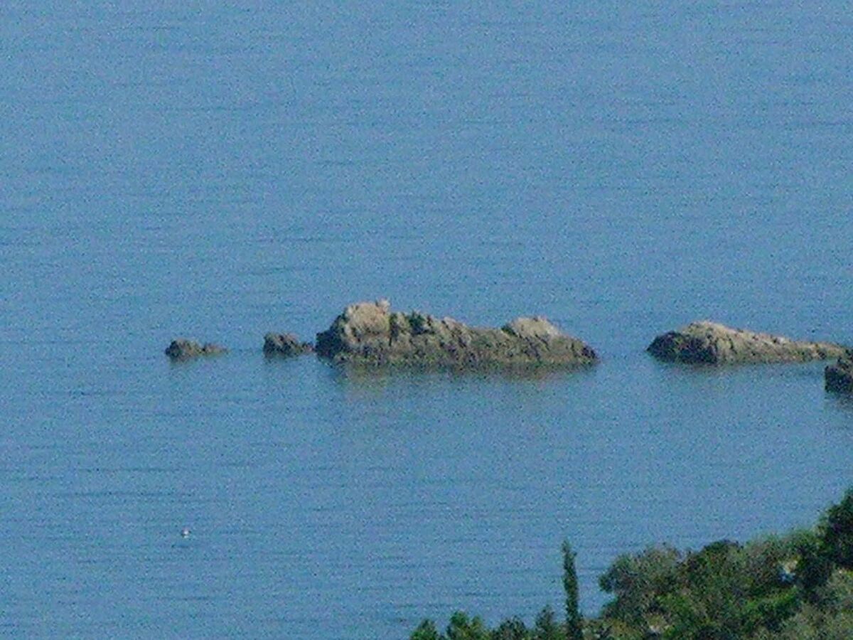 Appartement avec vue mer à Castel di Tusa - Photo 14