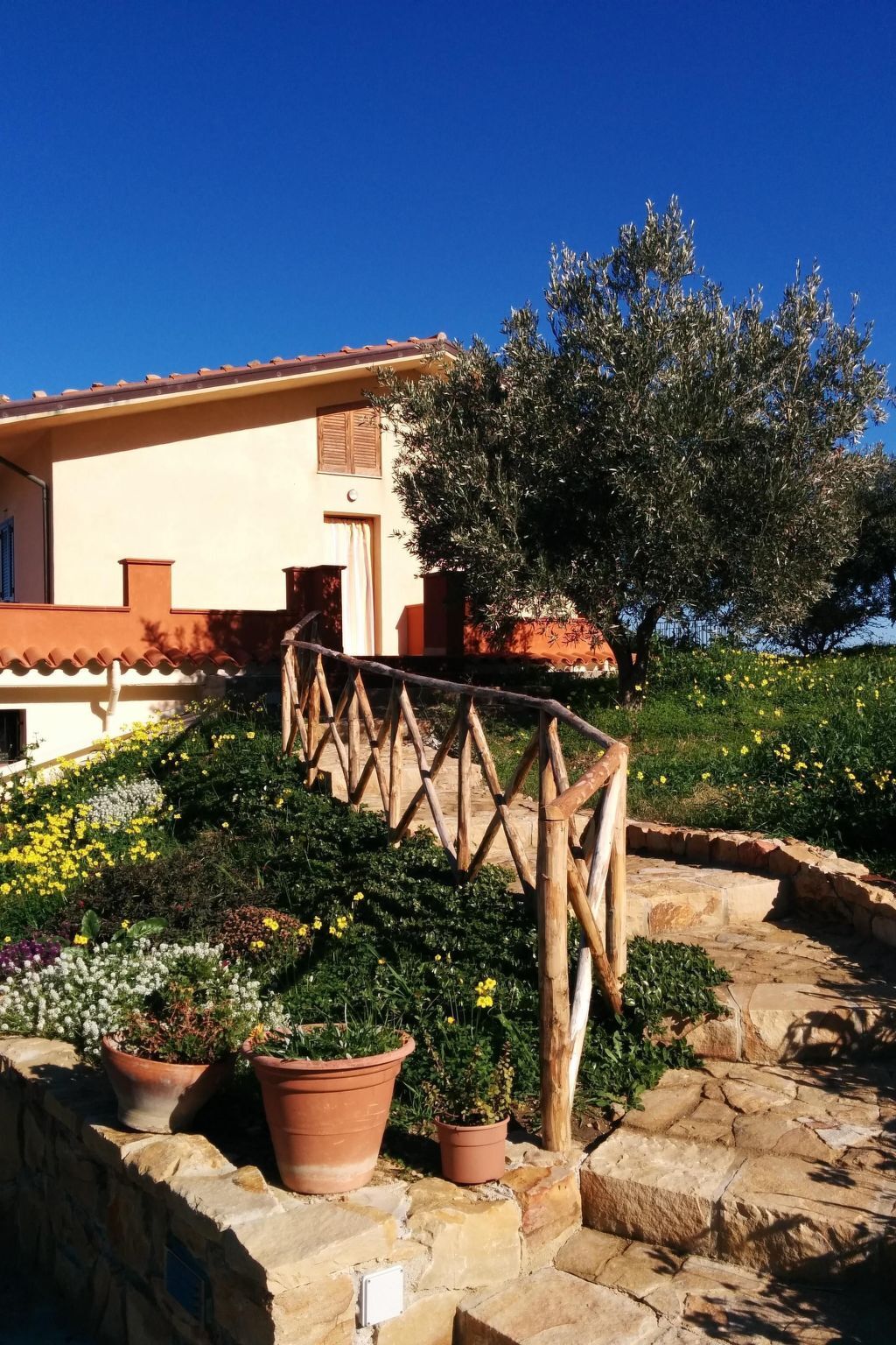 Appartement avec vue mer à Castel di Tusa - Photo 16