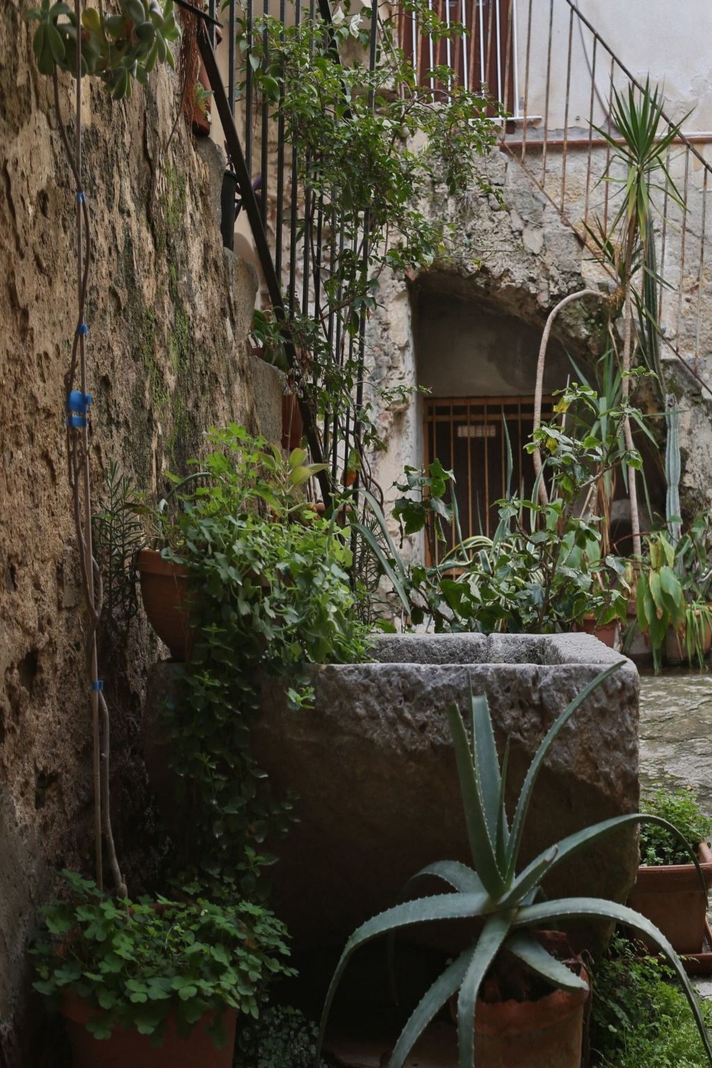 Appartement Terrazza del Cortile avec terrasse à Cefalù - Photo 3