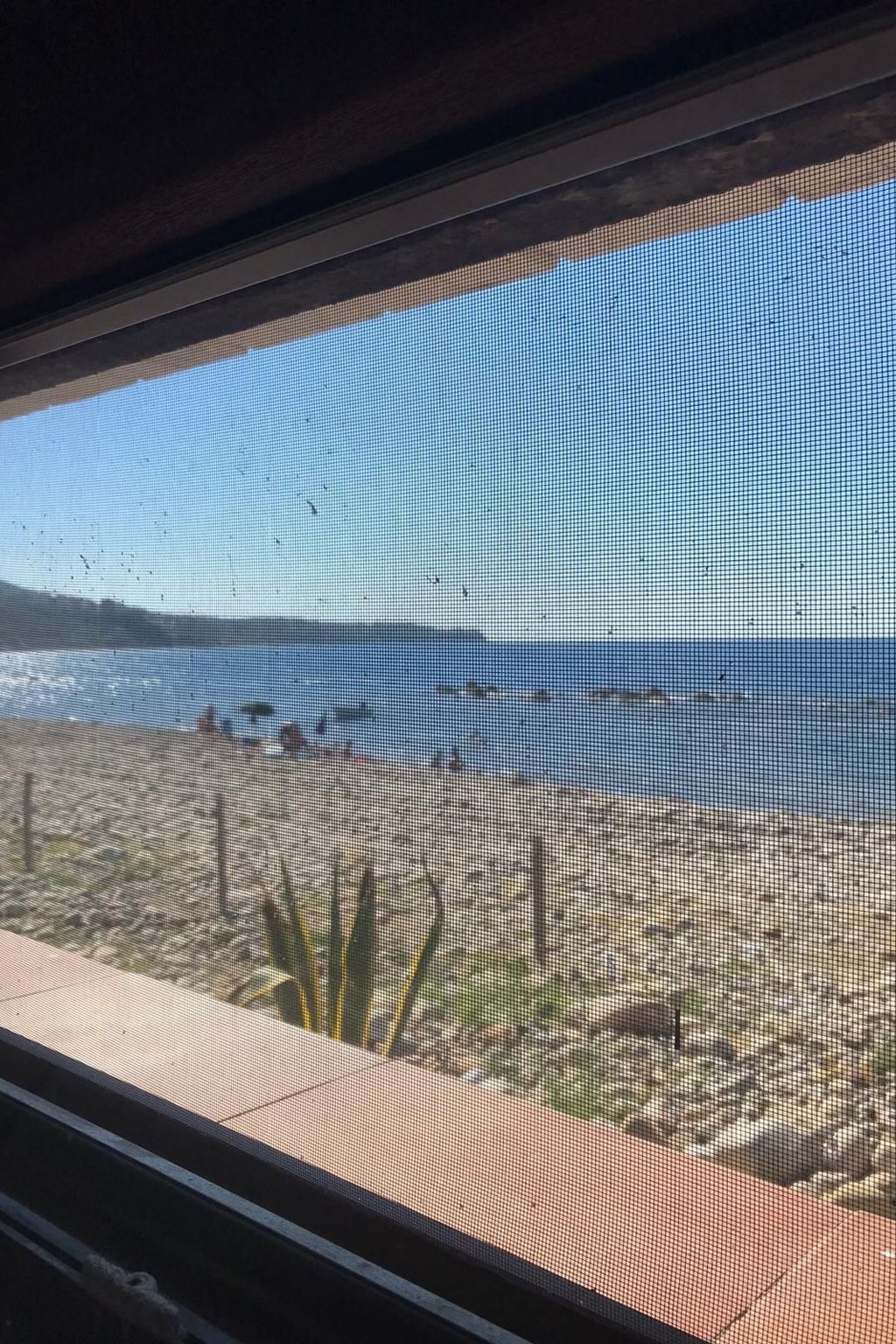Appartement plage Costa Turchina, vue mer à 2m - Photo 8