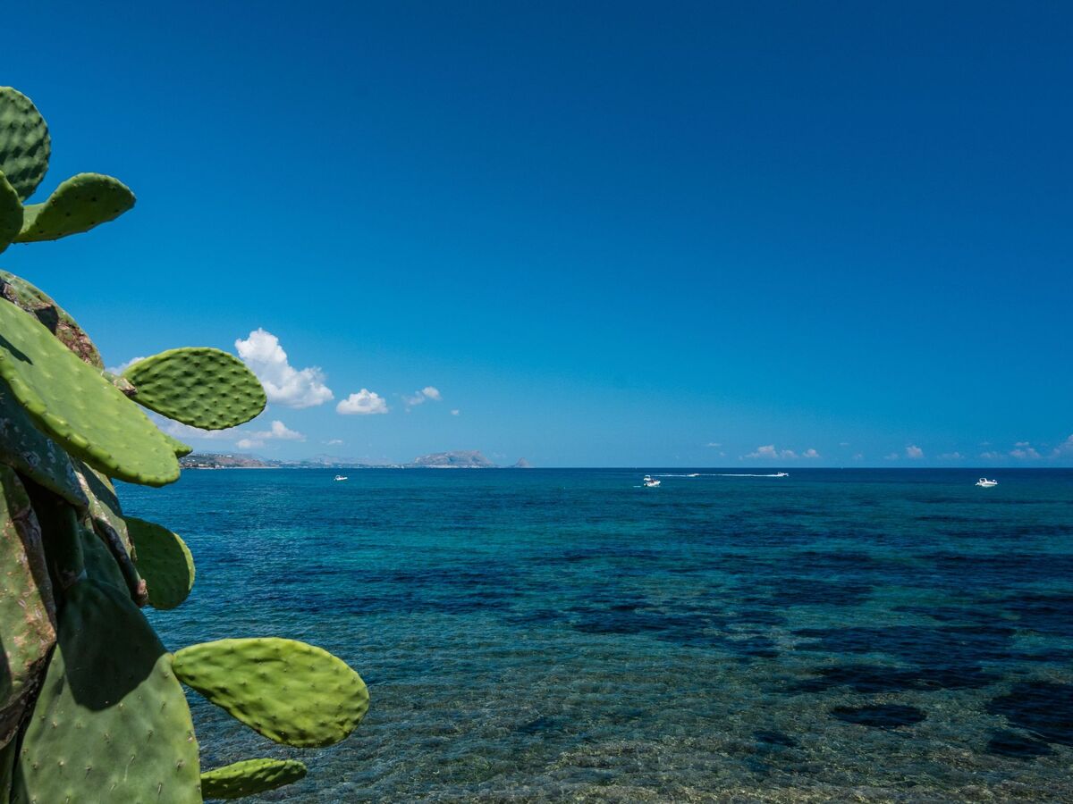 Maison 6 pers. à 150m de la mer, jardin et cours - Photo 22
