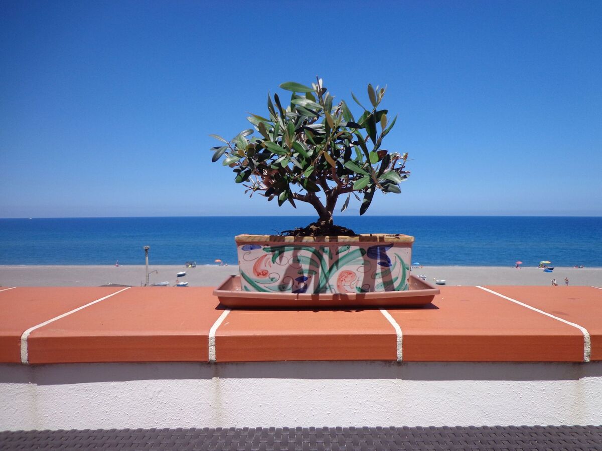 Patrizia's Sweet Home, appartement terrasse vue mer à Malfa - Photo 1