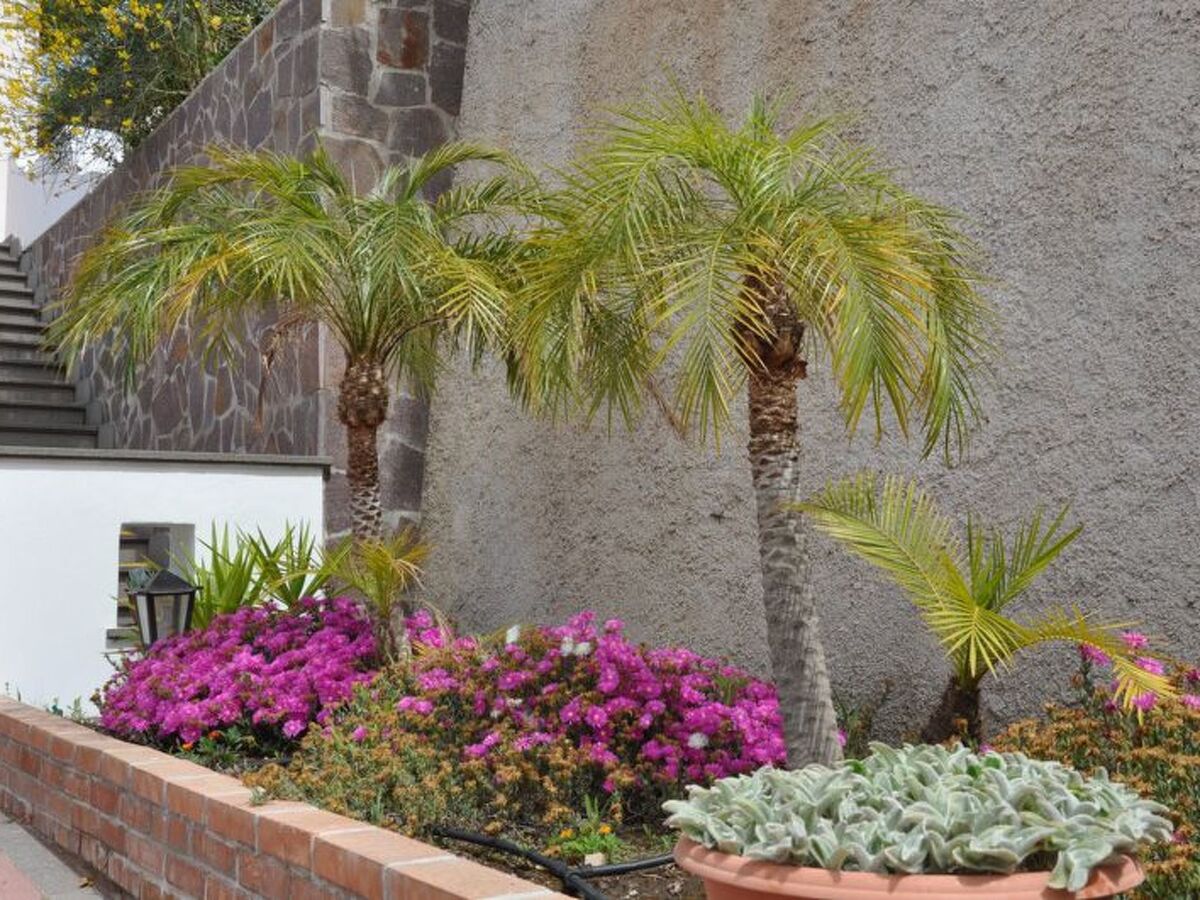 Appartement Glicine avec terrasse panoramique à Lipari - Photo 6
