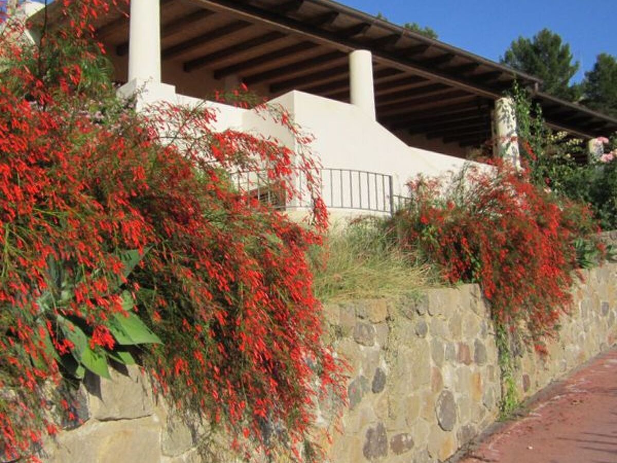 Appartement Glicine avec terrasse panoramique à Lipari - Photo 24