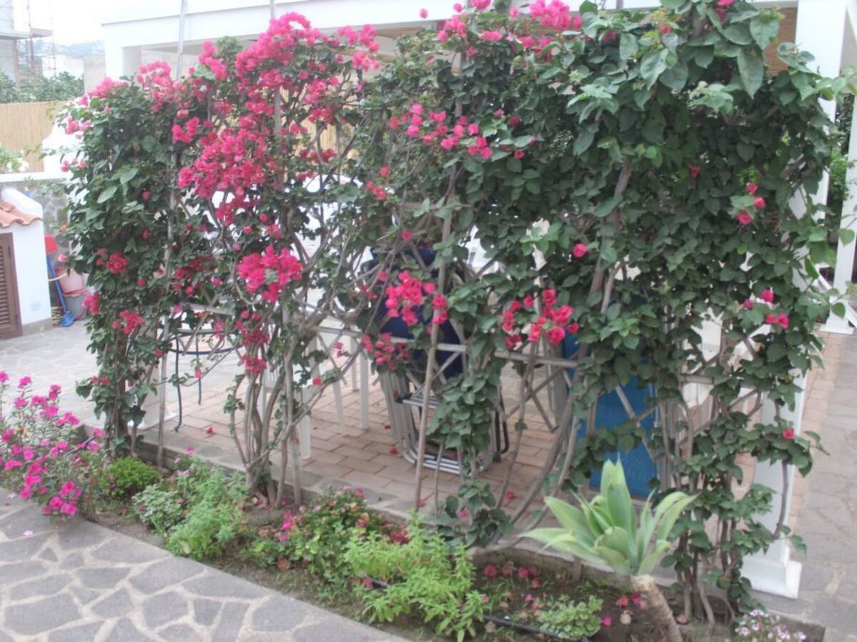 Studio Lipari avec terrasse couverte et kitchenette - Photo 27