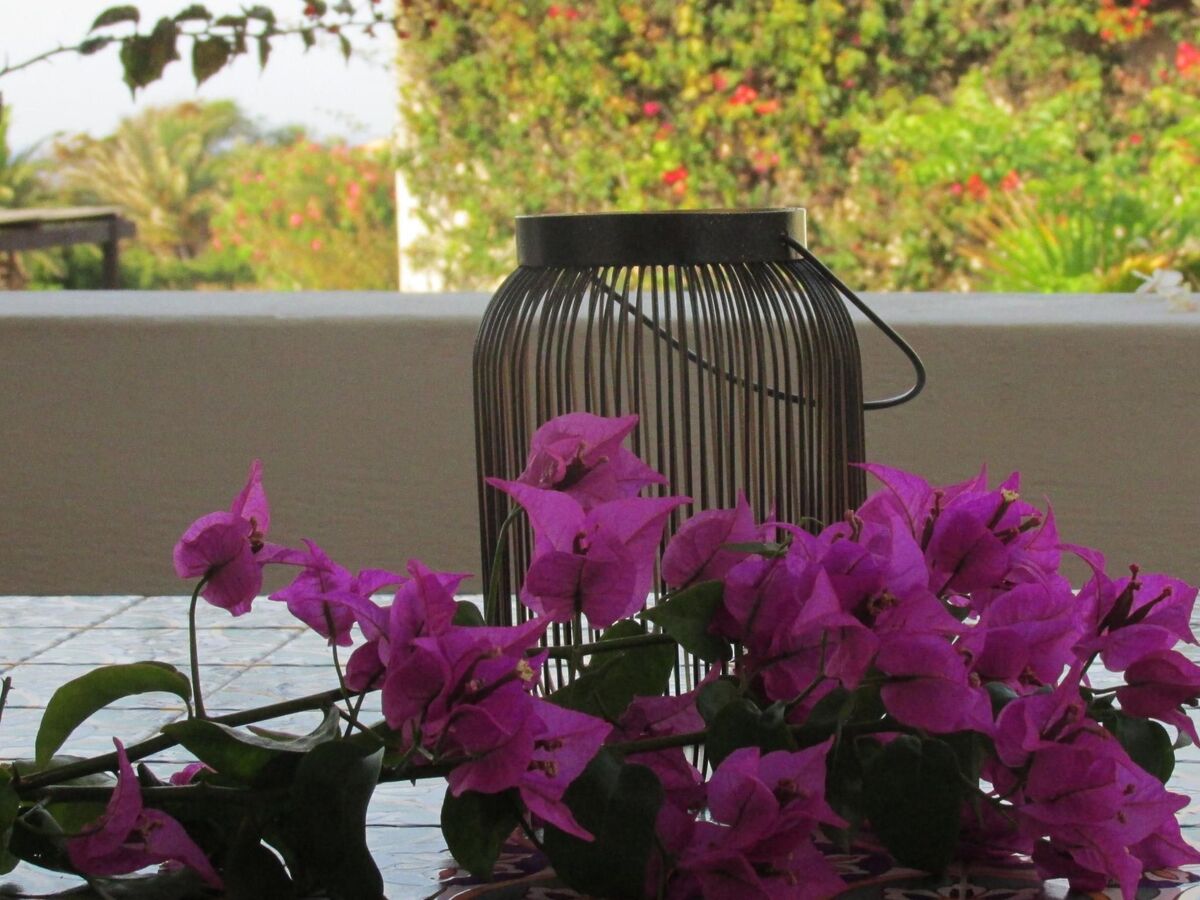 Stammes-Suite, appartement Pantelleria vue mer - Photo 29