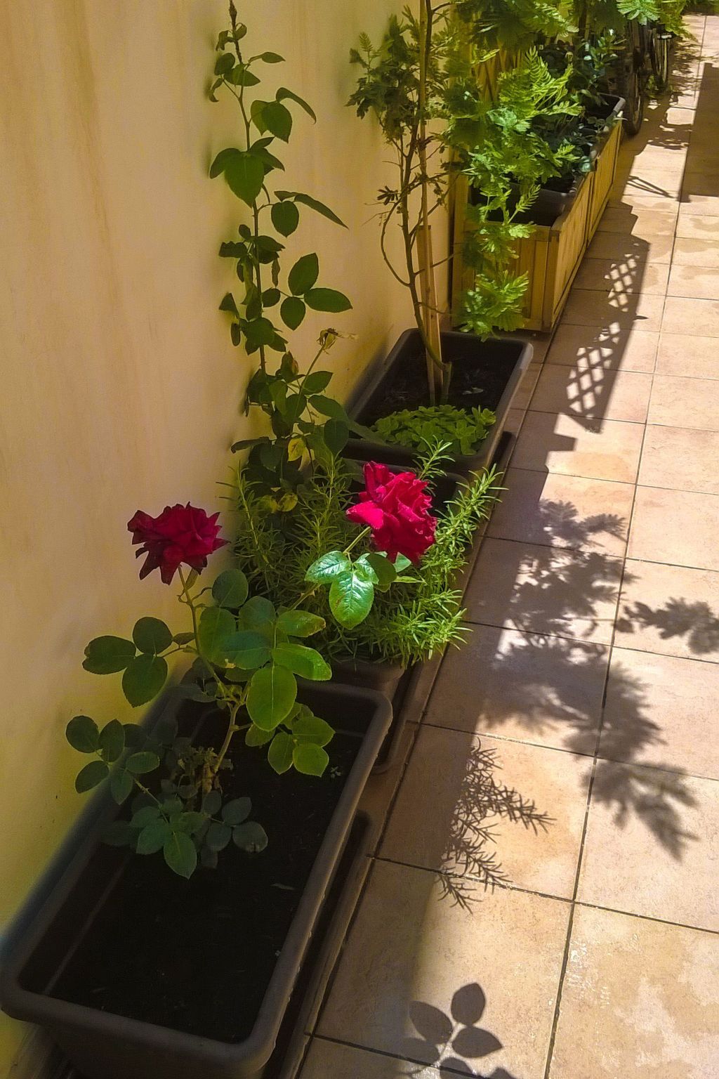Appartement 11 pers. à 40 m de la plage, Realmonte - Photo 42