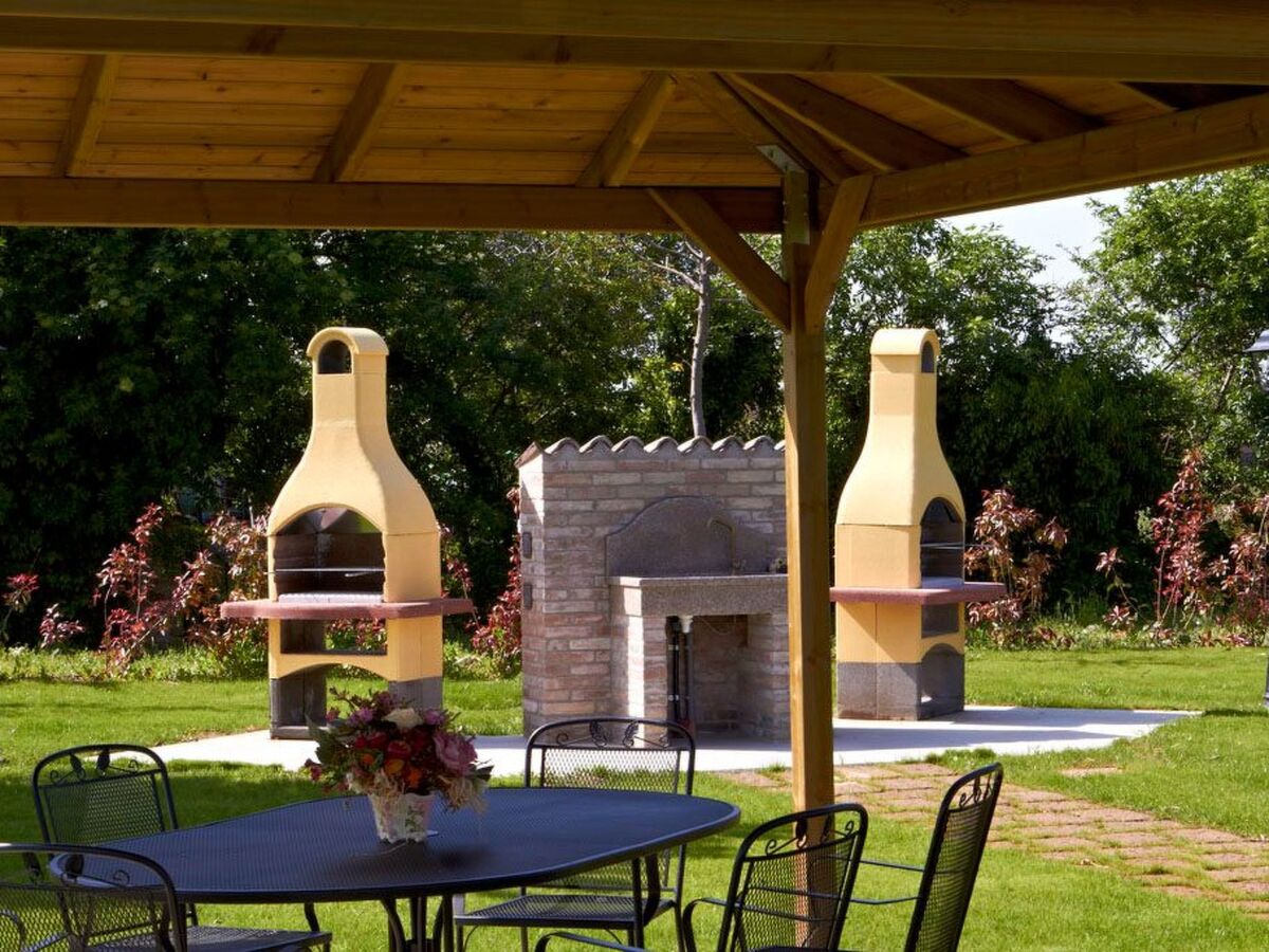 Studio Erica à la ferme, 10 hectares de vignobles - Photo 8