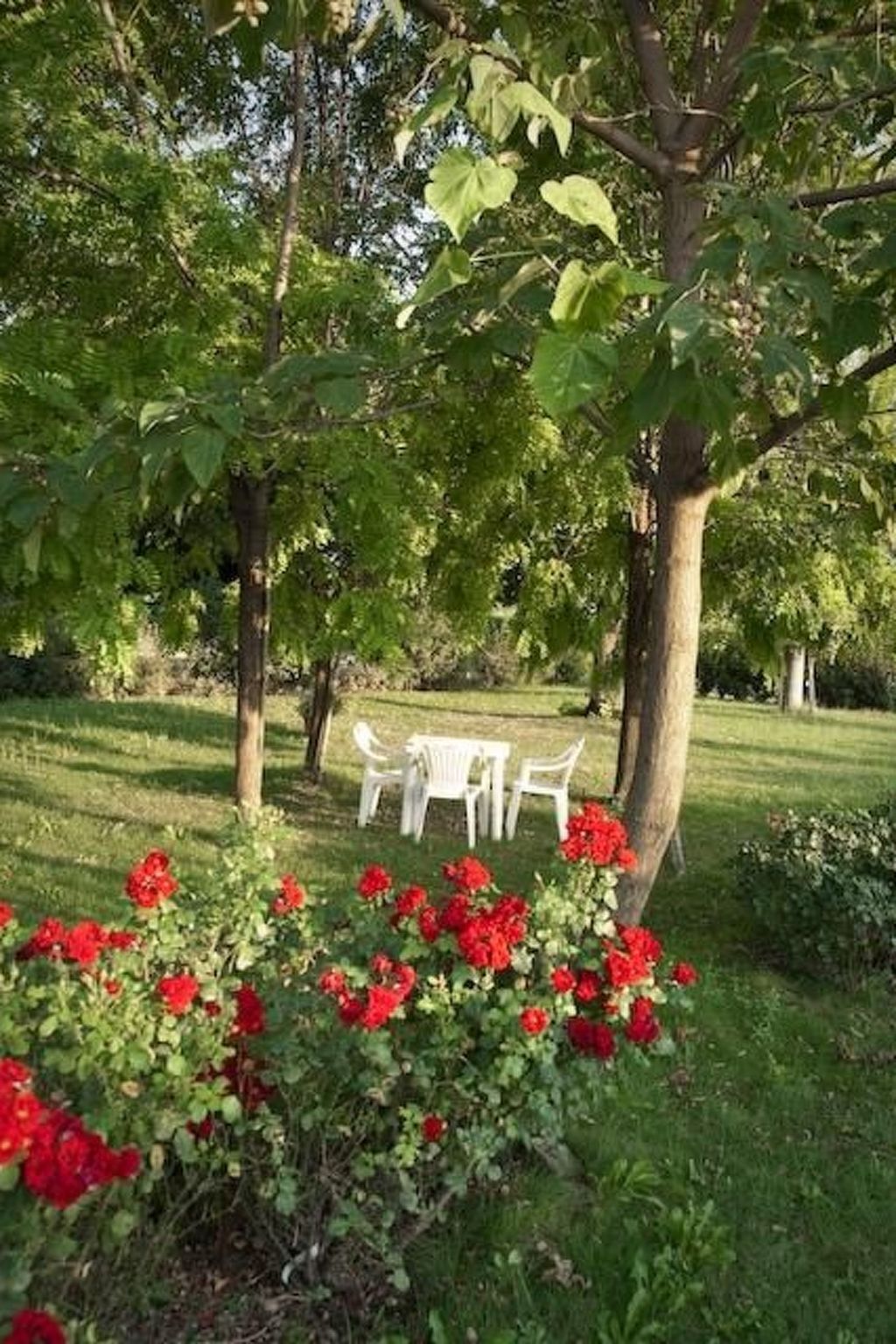 Studio Erica à la ferme, 10 hectares de vignobles - Photo 19