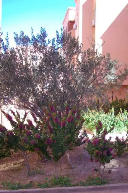 Appartement 2 chambres avec balcons et terrasse vue Atlas, Marrakech : photo 22