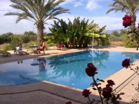 Le Jardin aux Etoiles : maison avec piscine privée à Sidi Boumoussa : photo 6