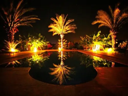 Le Jardin aux Etoiles : maison avec piscine privée à Sidi Boumoussa : photo 7