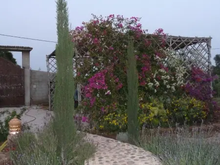 Le Jardin aux Etoiles : maison avec piscine privée à Sidi Boumoussa : photo 37