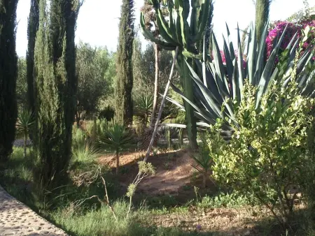 Le Jardin aux Etoiles : maison avec piscine privée à Sidi Boumoussa : photo 39