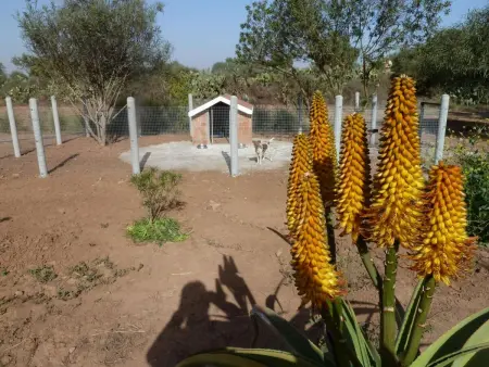 Le Jardin aux Etoiles : maison avec piscine privée à Sidi Boumoussa : photo 45