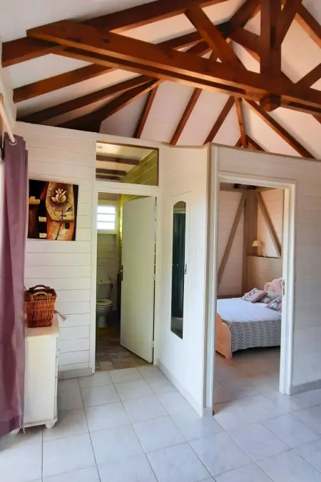 Bungalow 1 chambre avec terrasse, vue Montagne Pelée : photo 11