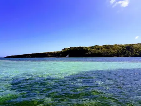 Studio Ti-Knouan à Sainte Anne, 500m de la plage : photo 14