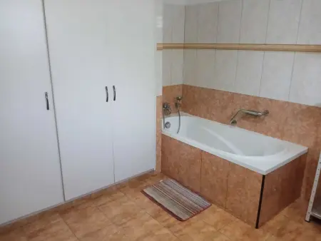 R Garden Pointe-aux-Sables : appartement 1 chambre, jardin privé : photo 3