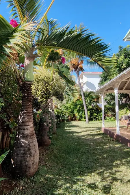 R Garden Pointe-aux-Sables : appartement 1 chambre, jardin privé : photo 5