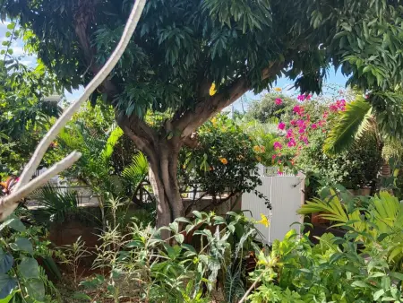 R Garden Pointe-aux-Sables : appartement 1 chambre, jardin privé : photo 19
