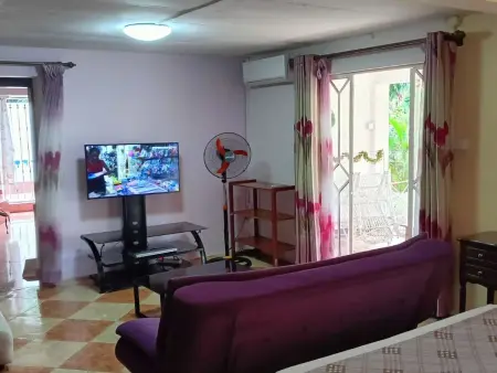 R Garden Pointe-aux-Sables : appartement 1 chambre, jardin privé : photo 23