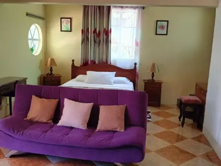 R Garden Pointe-aux-Sables : appartement 1 chambre, jardin privé : photo 31