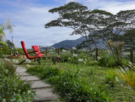 Green Cottage Chamarel – Maison 4 pers. nature Mauritius : photo 20