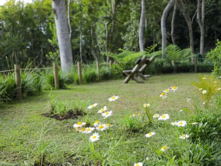 Green Cottage Chamarel – Maison 4 pers. nature Mauritius : photo 23