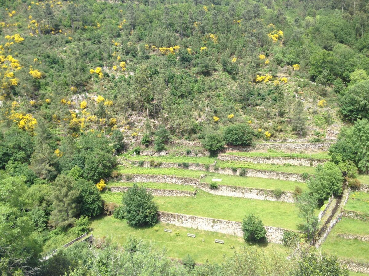 Cottage Großvaters Häuschen, Arcos de Valdevez - Photo 22
