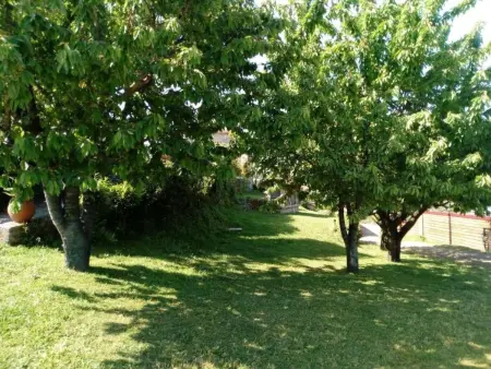 Maison 6 pers. avec piscine à débordement à Calheiros : photo 36