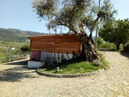 Maison 6 pers. avec piscine à débordement à Calheiros : photo 38