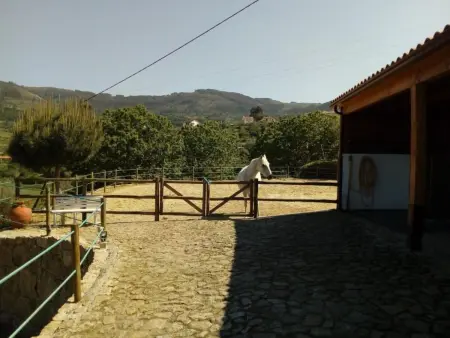 Maison 6 pers. avec piscine à débordement à Calheiros : photo 48