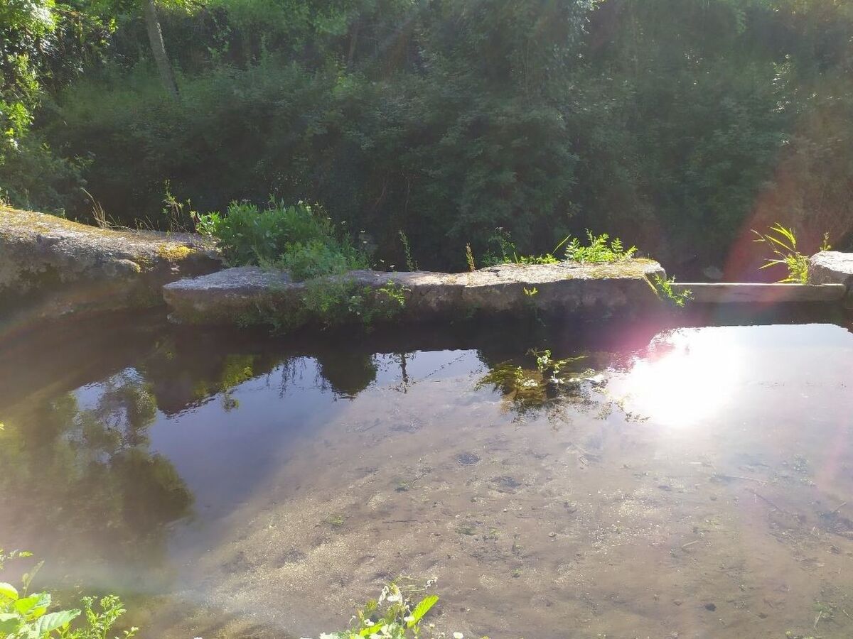 Moulin rénové à 80 m du fleuve, Calheiros - Photo 15