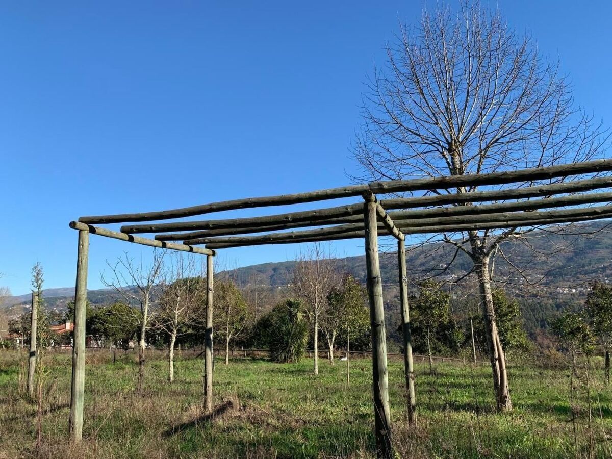 Maison 1 chambre avec vue sur montagne près d'Amarante - Photo 14